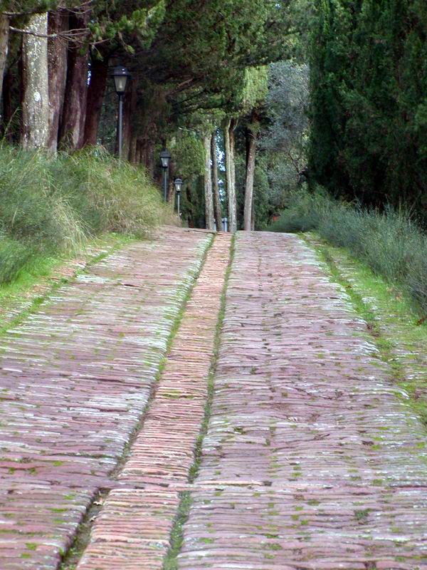 Immagini delle crete senesi....